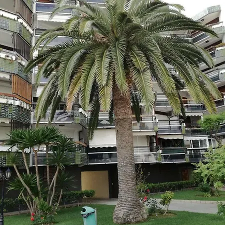 Anne * Salou