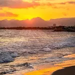 Anne סאלו