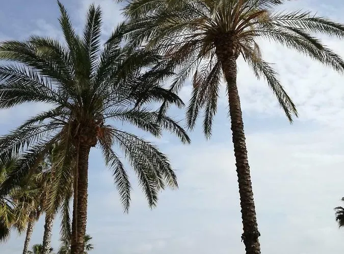 Anne * Salou